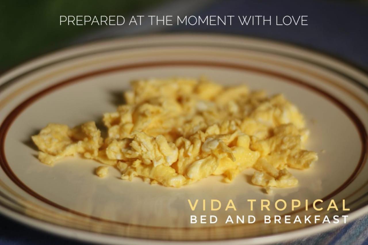 Vida Tropical Bed & Breakfast Alajuela Eksteriør bilde